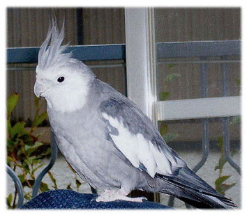 ���L����̃A�b�v�ʐ^��